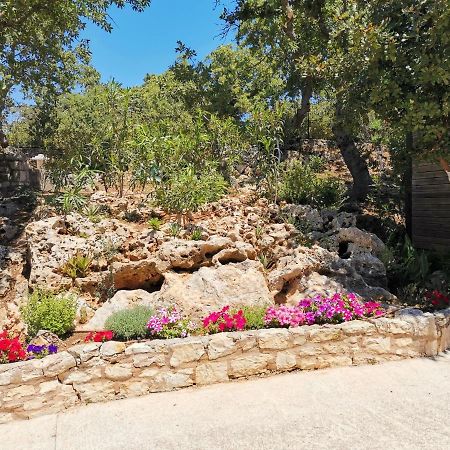 Villa Ermis - The Cretan Castello Kástellos Eksteriør billede