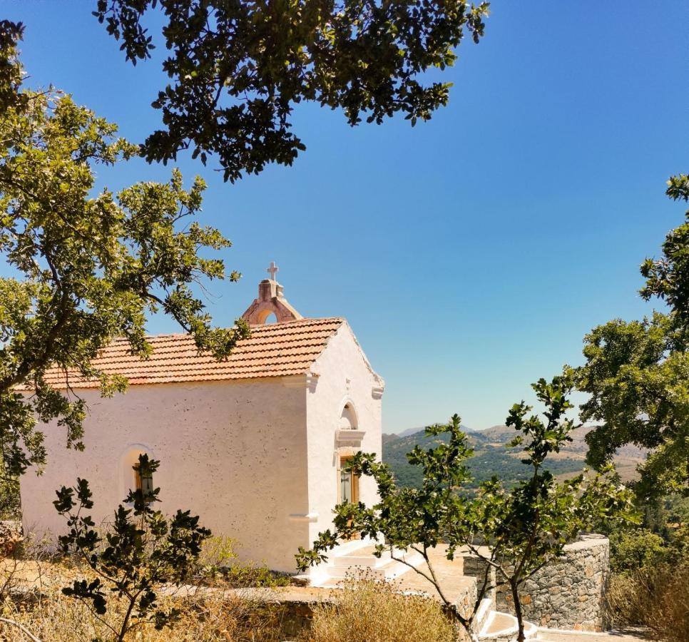 Villa Ermis - The Cretan Castello Kástellos Eksteriør billede
