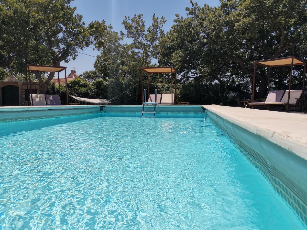 Villa Ermis - The Cretan Castello Kástellos Eksteriør billede