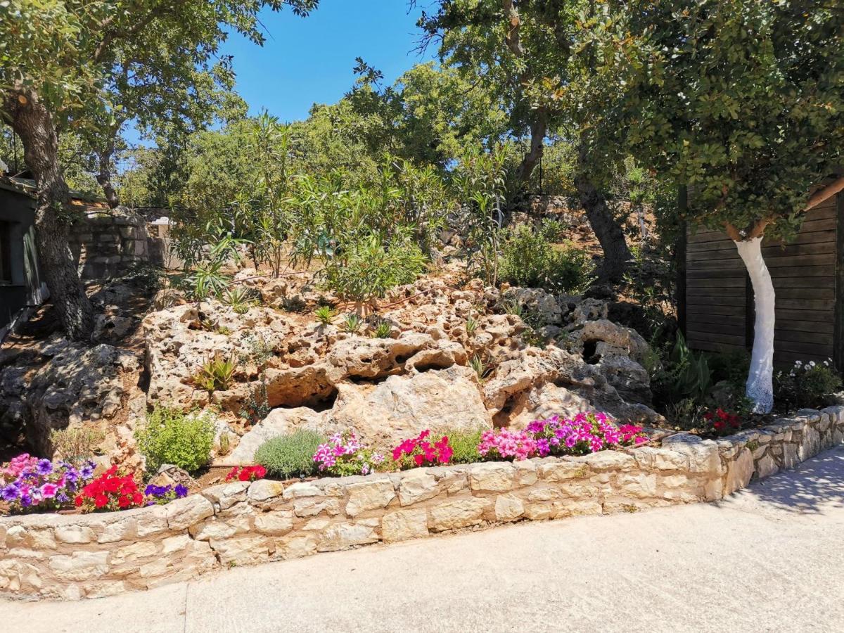 Villa Ermis - The Cretan Castello Kástellos Eksteriør billede