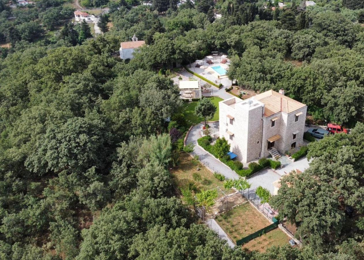 Villa Ermis - The Cretan Castello Kástellos Eksteriør billede